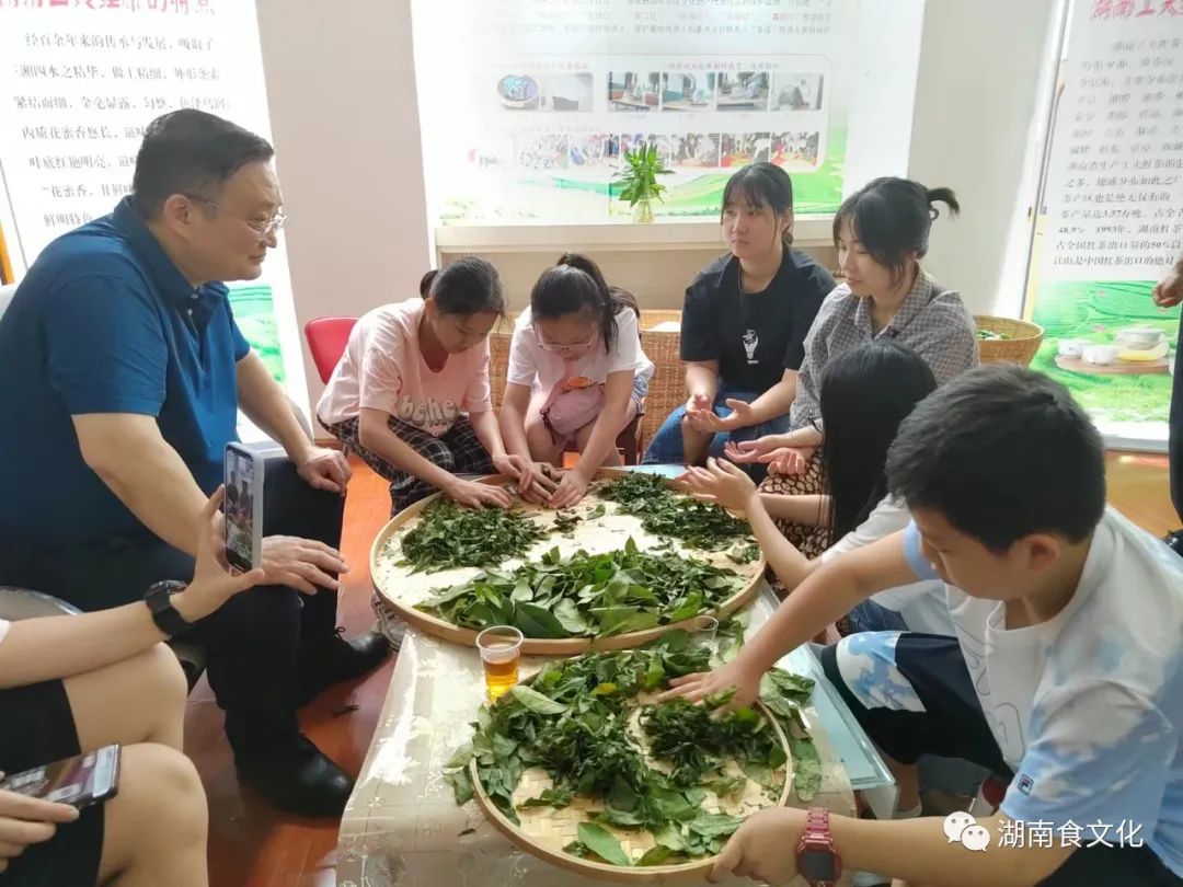 原載人民日報“人民視點”茶葉是怎樣做出來的？湖南大、中、小學生體驗湖南工夫紅茶制作